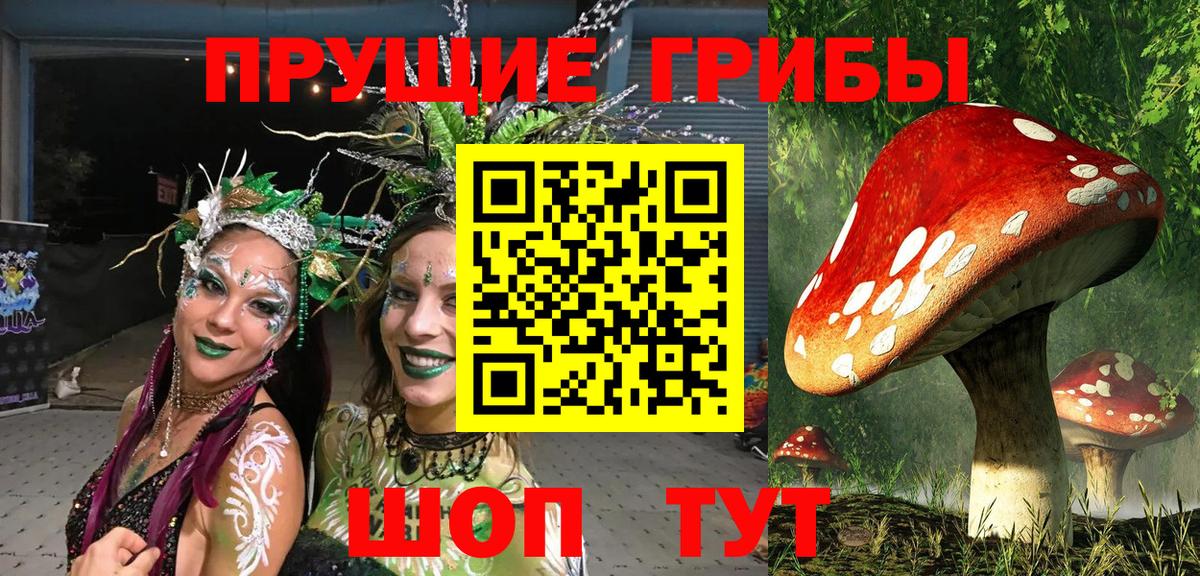 Галлюциногенные грибы Psilocybine cubensis  Вход с VPN  Североуральск 